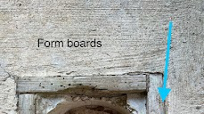 A look at what’s inside of those termite pods in the yard. Photo